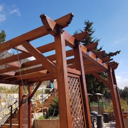 FB_IMG_1747081560714