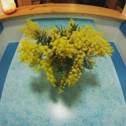 FB_IMG_1747081954495